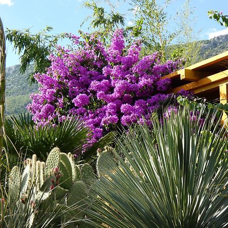 Villa Tropica, Total Privacy, Tropical Garden And Private Pool Каштела Екстер'єр фото