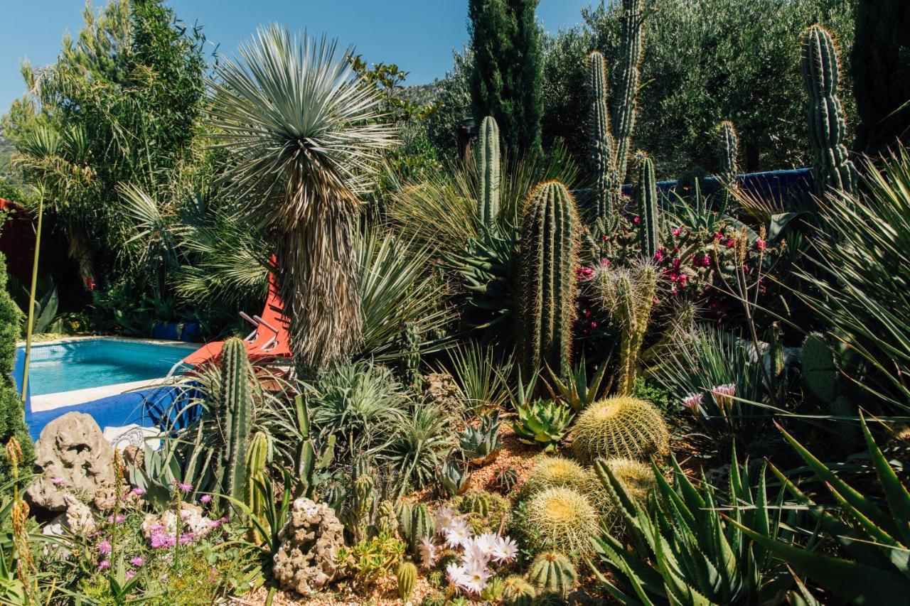 Villa Tropica, Total Privacy, Tropical Garden And Private Pool Каштела Екстер'єр фото