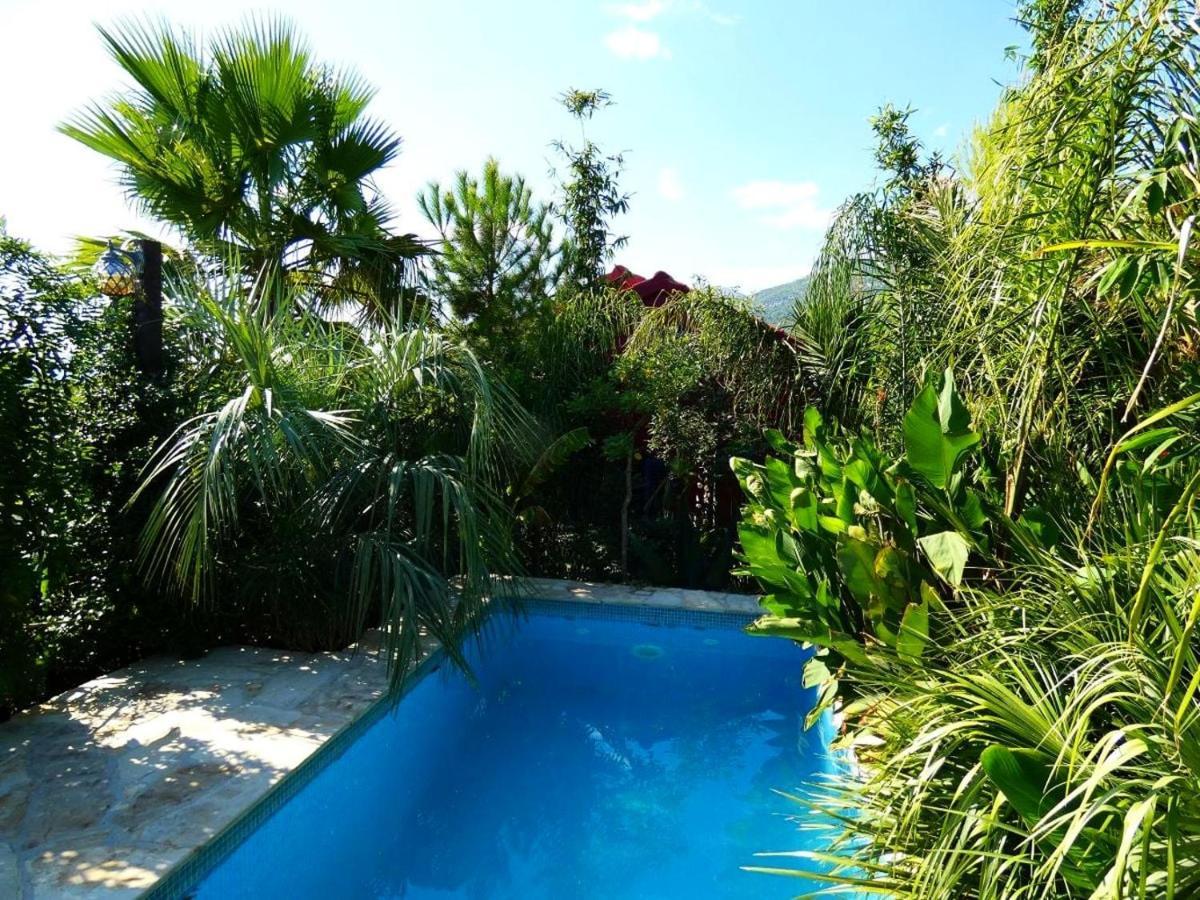 Villa Tropica, Total Privacy, Tropical Garden And Private Pool Каштела Екстер'єр фото