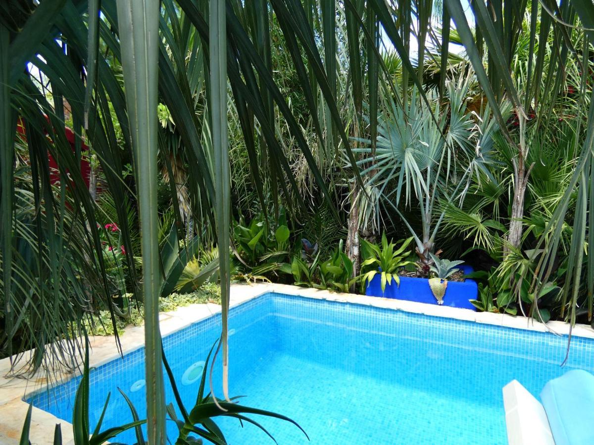 Villa Tropica, Total Privacy, Tropical Garden And Private Pool Каштела Екстер'єр фото