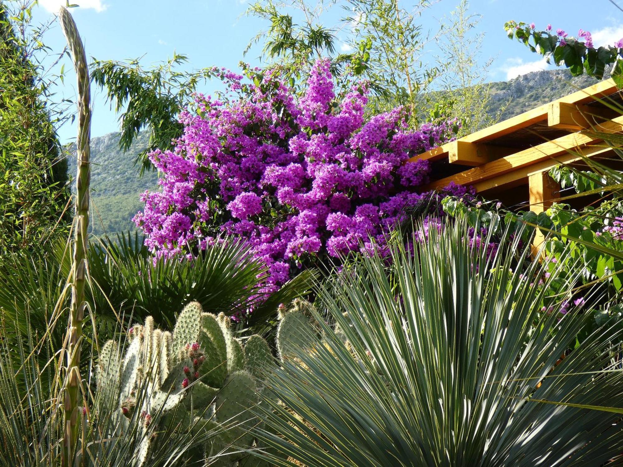 Villa Tropica, Total Privacy, Tropical Garden And Private Pool Каштела Екстер'єр фото